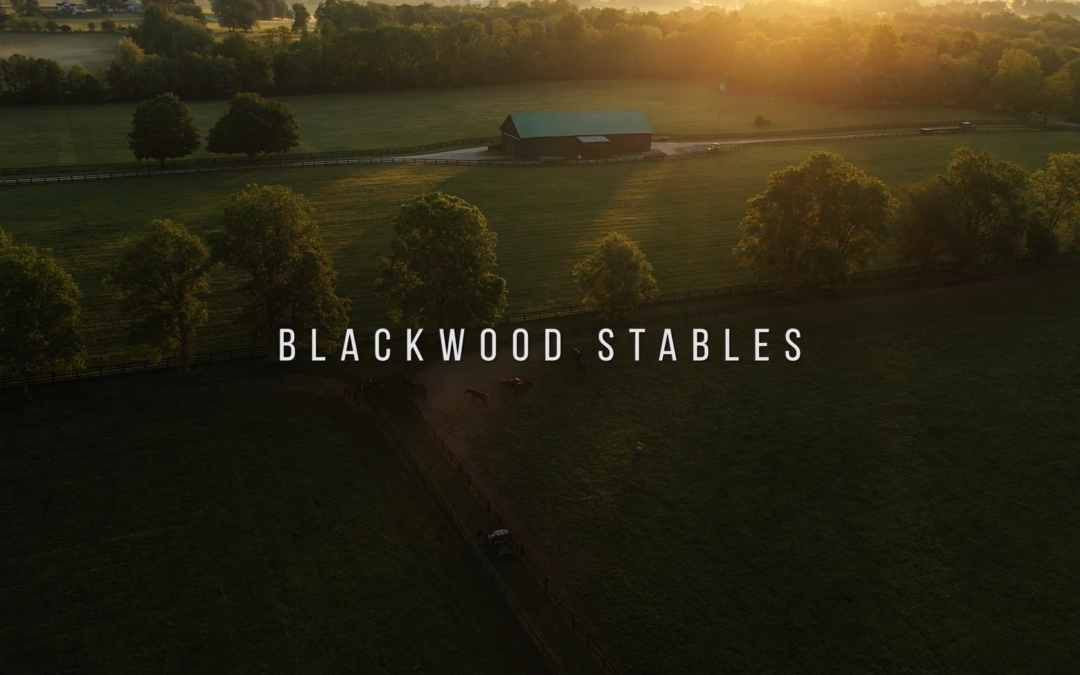 Blackwood Stables | Brand Video